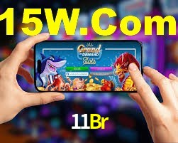 Programa VIP 11Br
